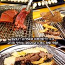 야끼짱 이미지