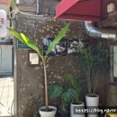 와까리꽁 이미지