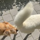 진도걸 근황🫶🏻