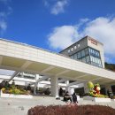 김치타운 다목적홀 이미지