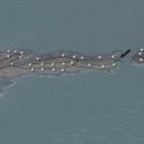 섬섬하우스 이미지