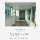 일성아파트(1차) | 천안탄성코트 쌍용동 일성1차 앞뒤베란다 곰팡이 심한 현장 후기에요