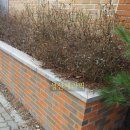 성산적벽돌 이미지