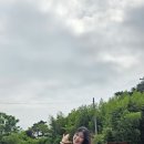 허브원 라벤더 꽃이 없다 - 박영재 댄스스포츠 전문학원 이미지