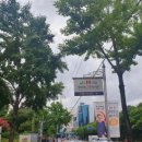 11시 브런치 콘서트 네이버블로그