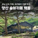 경남 양산 애견 동반 카페 백동, 산속 카페 제대로 즐기기