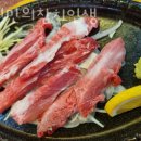 김진민의참치人生