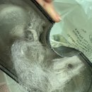 한경희 살균 침구청소기 실사용 후기