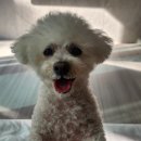 싹독싹독 이미지