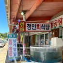 정인식당 | 낙산사 물회 맛집 정인회식당 솔직후기(낙산 감자전 맛집)