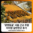 동행 공간 나누기 | [공지] 광명동굴 서울 근교 주말 아이랑 갈만한곳 후기