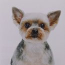 강아지 정거장 이미지