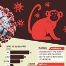 원숭이 두창(천연두)이 바이러스 변종을 일으켜 인간 천연두로 폭발 이미지