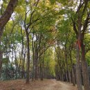 늠내길5코스 정왕둘레길 이미지