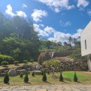 리틀포즈 반려동물 장례식장 이미지