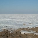 박창수 농장 이미지