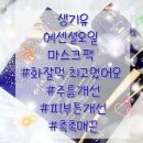 생기유 에센셜 주름개선 에스테틱 동안 수부지 연예인 식물성 페이스 오일 앰플 17ml