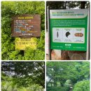 금마문화사 | 익산 금마 용화산