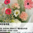 디바인플라워 이미지