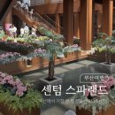 스파랜드 - 강서구 명지오션시티4로 90 | 부산에서 가장 큰 찜질방 센텀 스파랜드 후기