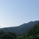 비타민 팜 오토캠핑장 이미지