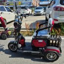 신일휠체어의료기 | 신일 씽씽500 노인 전동스쿠터 할인 판매 완료!! (전문가 직접 배송 및 후기)