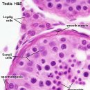 보정동물병원 이미지