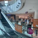 중앙동방향 교통섬 | 싱가포르 센토사섬 모노레일 타는 법 (센토사 익스프레스 가격) 실로소 팔라완 탄종 비치셔틀