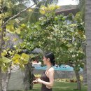 블랙스트링 콘서트 | 여성수영복 모노키니 브랜드 소냐레바이 내돈내산 실착용 후기