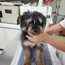 해밀예당3로 37 이미지