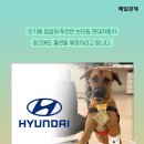 역전자동차 이미지
