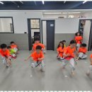 태비태권도 이미지