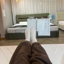 W15. 혼수침대 모베 모션베드 헤라 트윈&amp;코사 메트리스 내돈내산 솔직후기 (설치, 장단점)