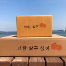 법인자연의시간