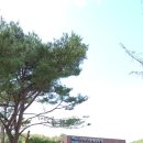 스토리움 이미지