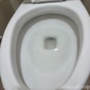 해운대로61번길 | 부산해운대구입주청소 새집처럼 욕실 주방 곰팡이 오염 제로