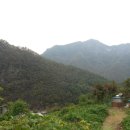 아라리쉼터 이미지