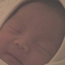 전치 앞(2) | 전치태반으로 대학병원 선택, 서울아산병원 제왕절개 출산 후기