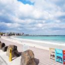 월정리마을회 이미지