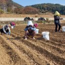 단산1천 이미지