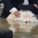 더왈츠앤조이피아 이미지