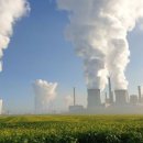 소품바구니 DIY체험 이미지