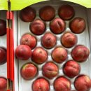 찬기농장 이미지