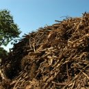 밤골농장 이미지