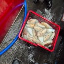 nh코리아 이미지