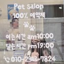 스텔라봉 | 부산 광안리애견미용 스텔라봉 강아지위생목욕 후기