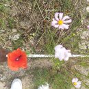 황룡공원 화장실 이미지