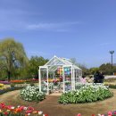 국가정원(동문) | 순천만국가정원 가족여행 후기 | 서문 주차 꿀팁 + 동물원 + 동문 배 타는 곳 총정리