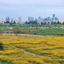 숲뜰근린공원 이미지