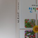 천지삐깔 이미지